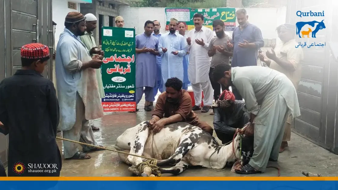 In Layyah, near the banks of the Indus River, a special Qurbani was organized for villagers where sacrifice is a rare occurrence.