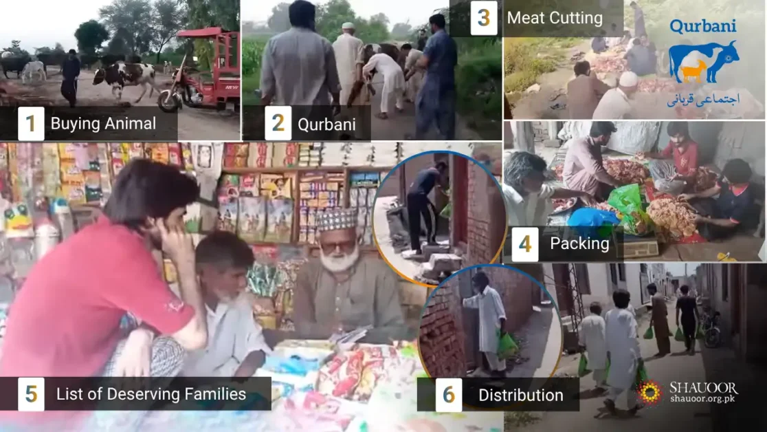 In a small village near Sargodha, Qurbani was performed with immense dedication by Shauoor volunteers