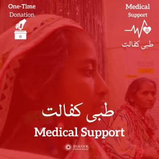 Medical Support Onetime