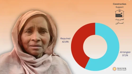 Grandmother Sughra | Orphaned Granddaughters | Construction Support | یتیم لڑکیوں کےلئے چھت