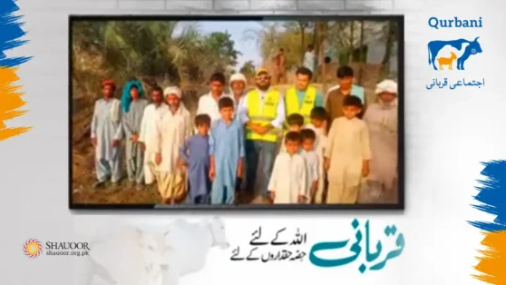 Taunsa – Punjab, Pakistan, a region affected by the devastated floods 2022,