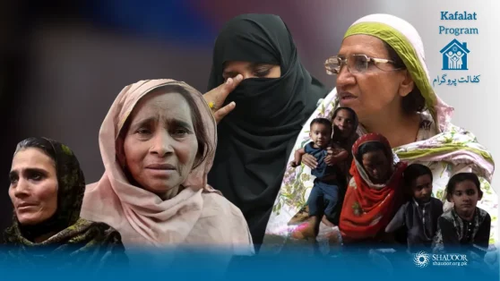 Timely Monthly Sponsorship