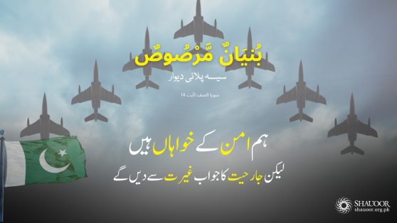 iron response to sindoor operation (2)