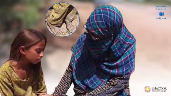 sidra educational support