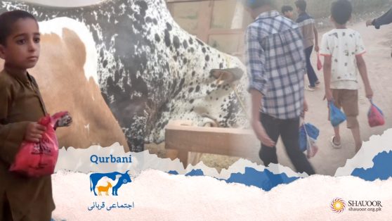 karachi qurbani 2025