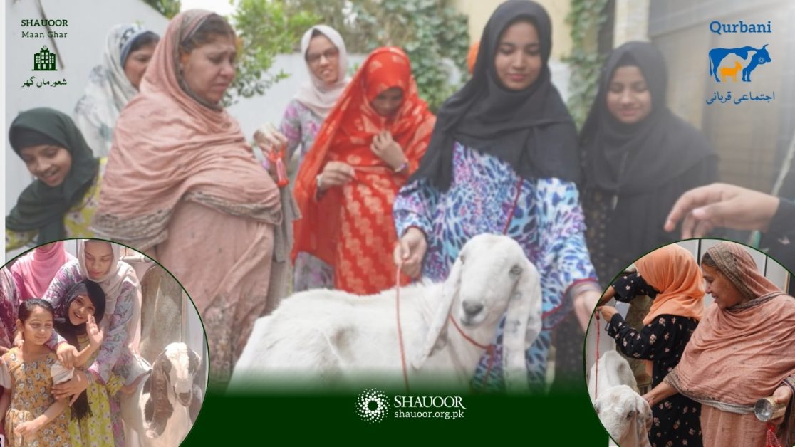 shauoor maan ghar qurbani