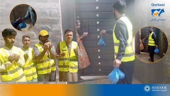 taunsa qurbani2025 (2)