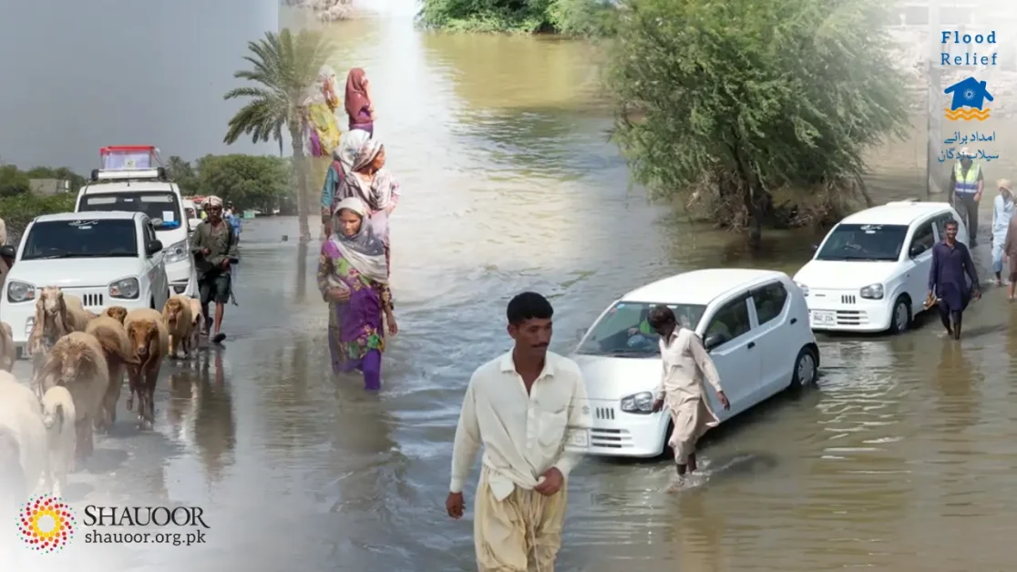 Artificial Bridge for Vehicles
