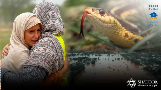 Recovery & Rehabilitation - Flood 2025