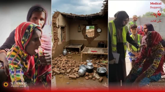 Sumaira - Violence & Mental Illness