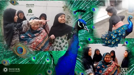 Little Princesses | Shauoor Maan Ghar | Moments of True Happiness | نانی تیری مورنی کو مور لے گئے