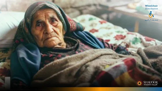 Case-No-1671-Jamila-Bibi-Helpless-Mother-Wheelchair-Distribution