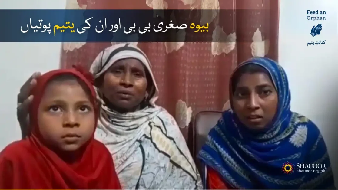 Sughra Bibi whose son died in a truck accident.