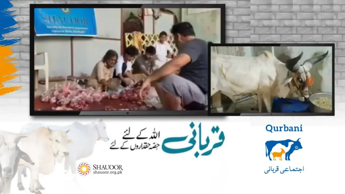 Shauoor Welfare Foundation delivered your Qurbani to areas beyond your reach.