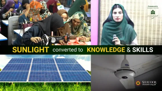 Sunlight – Knowledge & Skills