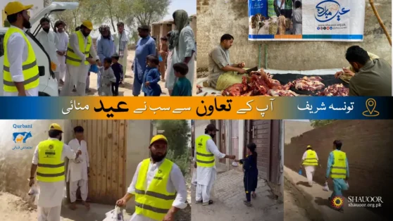 Taunsa Sharif – Qurbani 2026