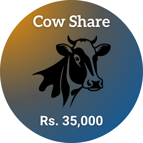 eid-ul-adha-2026-shauoor-qurbani-2026-cow-share-35k.png May 18, 2026