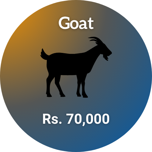 eid-ul-adha-2026-shauoor-qurbani-2026-goat-70-k