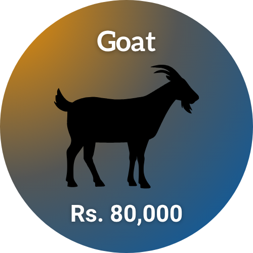 eid-ul-adha-2026-shauoor-qurbani-2026-goat-80k